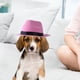 thumbnail image 5 of Sombrero de vaquero Yuyangstore para perros Corgi, 5 of 7