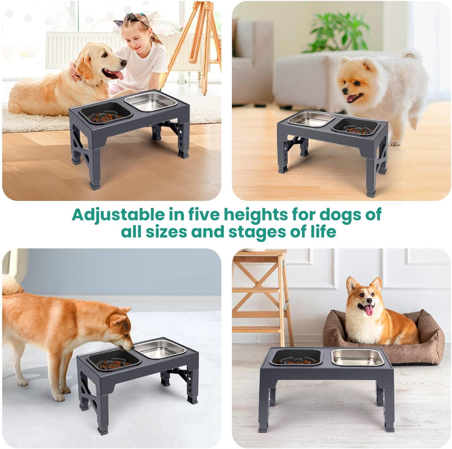 Elevated Dog Bowls, with Slow Feeder Bowl and Stainless Steel Dog Food Bowl