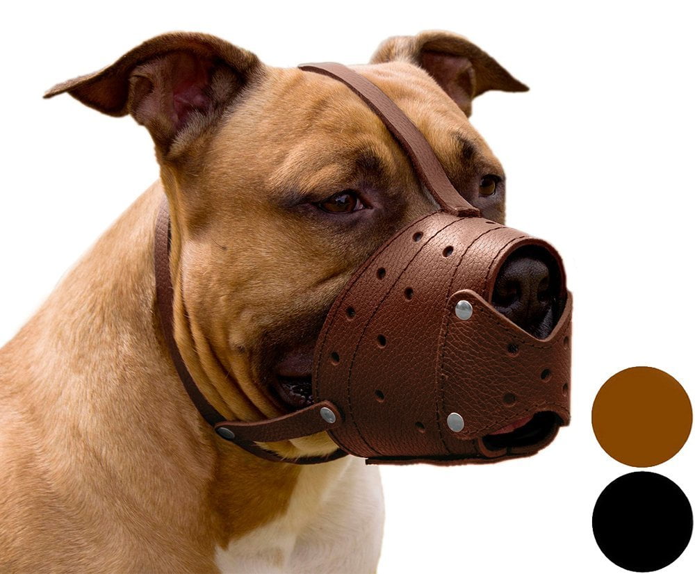 pitbull muzzle for sale