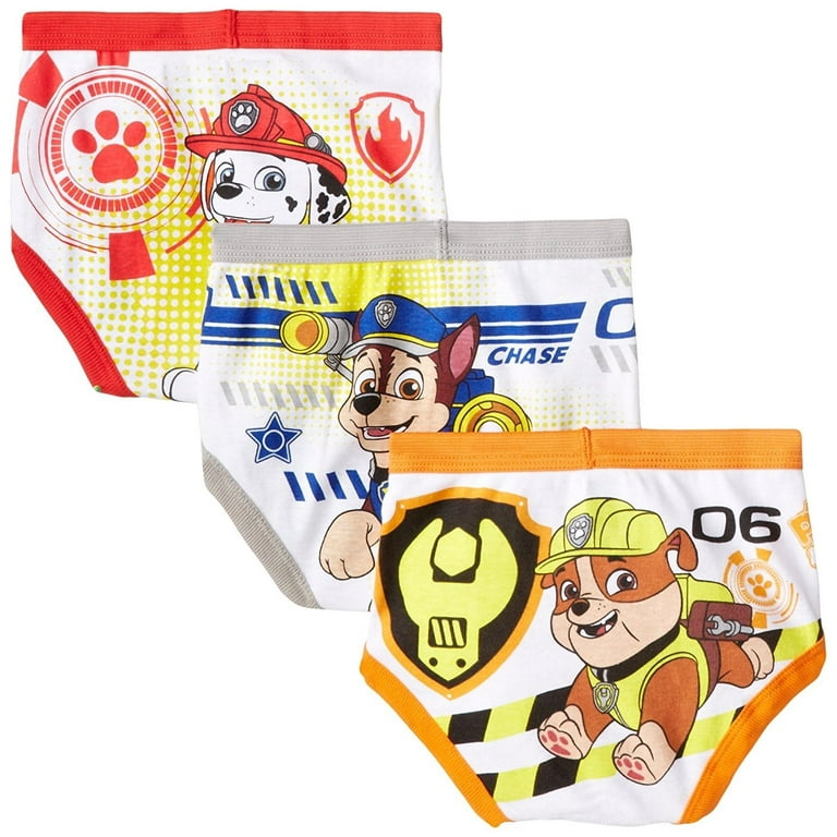 Buy Paw Patrol 12-Days SURPRISE UNBOXING Box of Briefs Makes Potty Training  fun with Tracking Chart and Stickers, sizes 2/3T, 4T and 5T, Paw Tb  12pk_box, 5T at