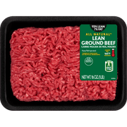 93% Lean / 7% Fat Lean Ground Beef, 1 lb Tray, Fresh, All Natural* price history and forecast - Fresh Ground Beef 10131Y9PN