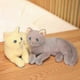 thumbnail image 4 of Gray 30cm Lifelike British Shorthair Cat Plush Toys Cute Stuffed Simulation 3-color Cat Animal Doll Children Home Decor Baby Gift, 4 of 4