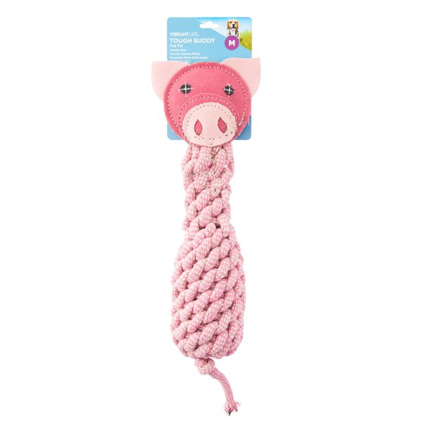 Vibrant Life Tough Buddy Rope Pig Dog Toy with Replaceable Bottle, 14