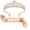 Rose Gold-Bride To Be, variant on Bride To Be Sash Bachelorette Party Decorations Rose Tiaras for Bride Headband Supplies Accessories