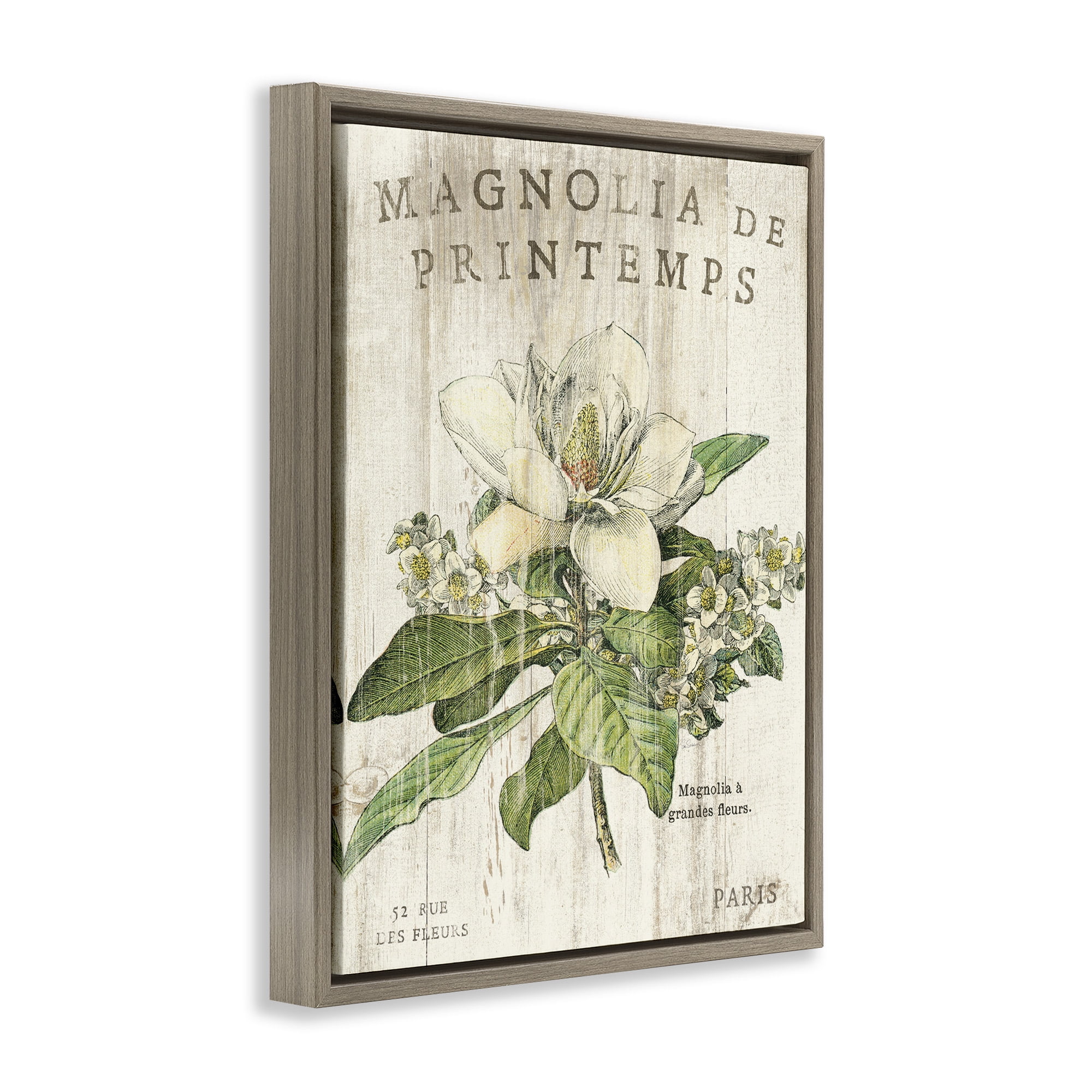 Stupell Industries French Magnolias In Spring Botanical & Floral Painting Brown Floater Framed Canvas Art Print Wall Art, 17 x 21