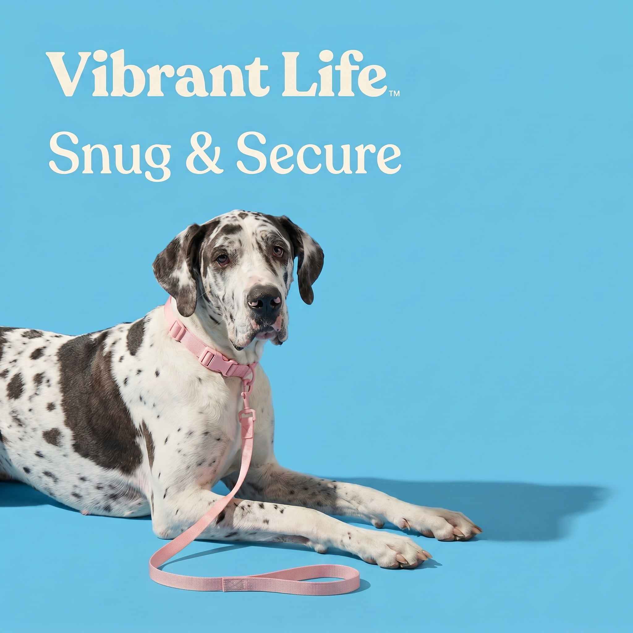 Vibrant Life Neoprene Cushioned Adjustable Dog Collar, Soft Pink, Large