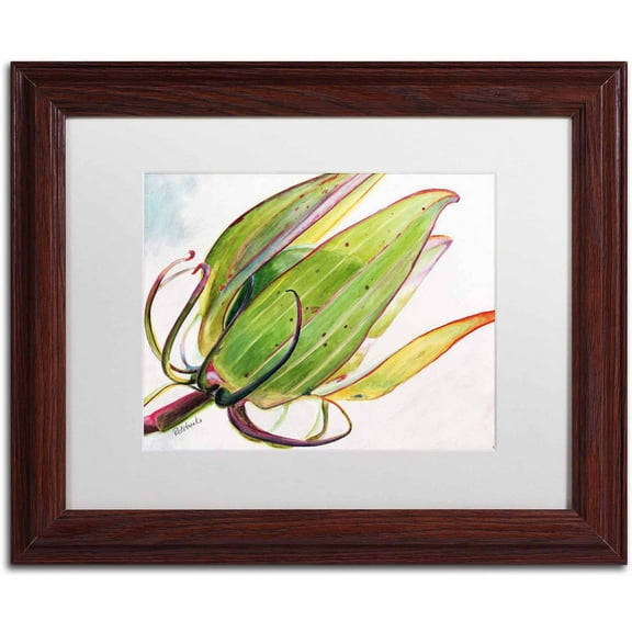 Trademark Fine Art "Flower Pod" Canvas Art by Jennifer Redstreake White Matte, Wood Frame