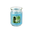 thumbnail image 1 of MAINSTAYS GARDEN RAIN 19OZ SCENTED JAR, 1 of 1