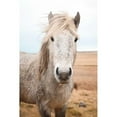 thumbnail image 3 of Marshall, Laura 13x18 Black Modern Framed Museum Art Print Titled - Heida I, 3 of 5