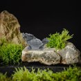 thumbnail image 4 of OUNONA Feng Shui Turtle Statue Dragon Turtle Shape Stone Grey 1Pack for Avoiding Evil, 4 of 6