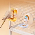 thumbnail image 5 of Creatine Interactive Bird Chew With Natural Chewable Eggshell Texture Feeding Beads Suitable For Cages Windowsill Patios Outdoor Aviaries., 5 of 5