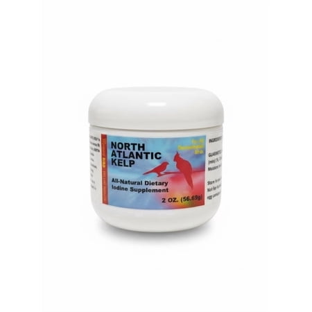 Morning Bird North Atlantic Kelp 2 oz – Healthy Supplement for Birds – Supports Feather Growth, Molting & Metabolism – Rich in Amino Acids, Minerals & Natural Vitamins – Clean Nutrition for All Birds