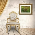 thumbnail image 3 of Fitzharris, Tim 32x25 Gold Ornate Wood Framed with Double Matting Museum Art Print Titled - Goldenrods near DeQueen-Arkansas, 3 of 4