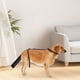 thumbnail image 4 of Cubierta protectora para la cola de perros para evitar lesiones y la caída del pelo. Accesorio ajustable para evitar lametones y mordiscos., 4 of 5
