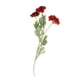 thumbnail image 5 of Flor de Bloosom de simulación con ramo de hojas Decoraciones para Arreglos artificiales para bodas rojo Yuyangstore Decoración para el hogar con flores artificiales, 5 of 8