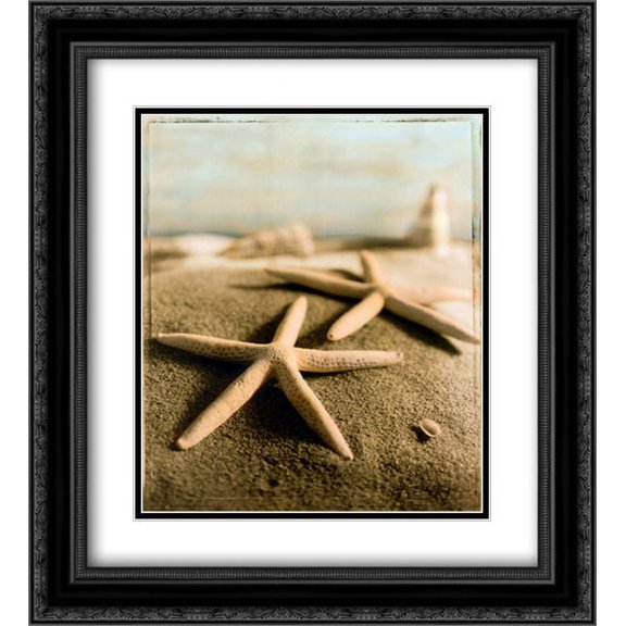 Seashell IV 2x Matted 15x18 Black Ornate Framed Art Print by Wampler