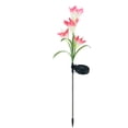 thumbnail image 3 of Lámpara de jardín forma de flor Lámpara de césped al aire libre colorida luz solar decorativa LED, rosa 2pcs Speravity HA002386-03, 3 of 7