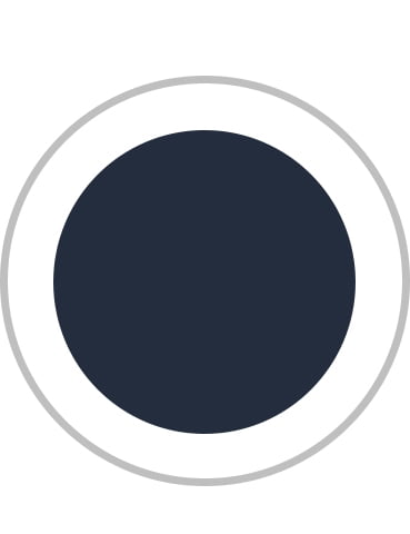 True Navy