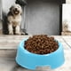 thumbnail image 4 of Desiderio, 2 uds., cuencos para perros, cuencos de comida para gatos, cuencos de plástico redondos para alimentar agua, plato alimentador colorido, cuenco para comer, 4 of 5