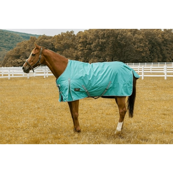 TuffRider 600D Comfy Waterproof Winter Blanket Turquoise 84