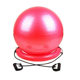 Exercise Ball Yoga Ball for Home Gym, Stability Ball for Workout