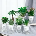 thumbnail image 4 of 2 Sets Double Tier Hydroponic Epipremnum Aureum Self-watering Flowerpot Home Decor, 4 of 10