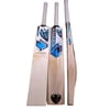 Hammer CANNON Cricket Bat 2022