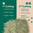 thumbnail image 3 of Premium Rabbit Food for Rabbits, Chinchillas, and Guinea Pigs - 1st Cut Timothy Pak Feeder Boxes, 4 Pack 1.5 Lb Boxes, 3 of 4