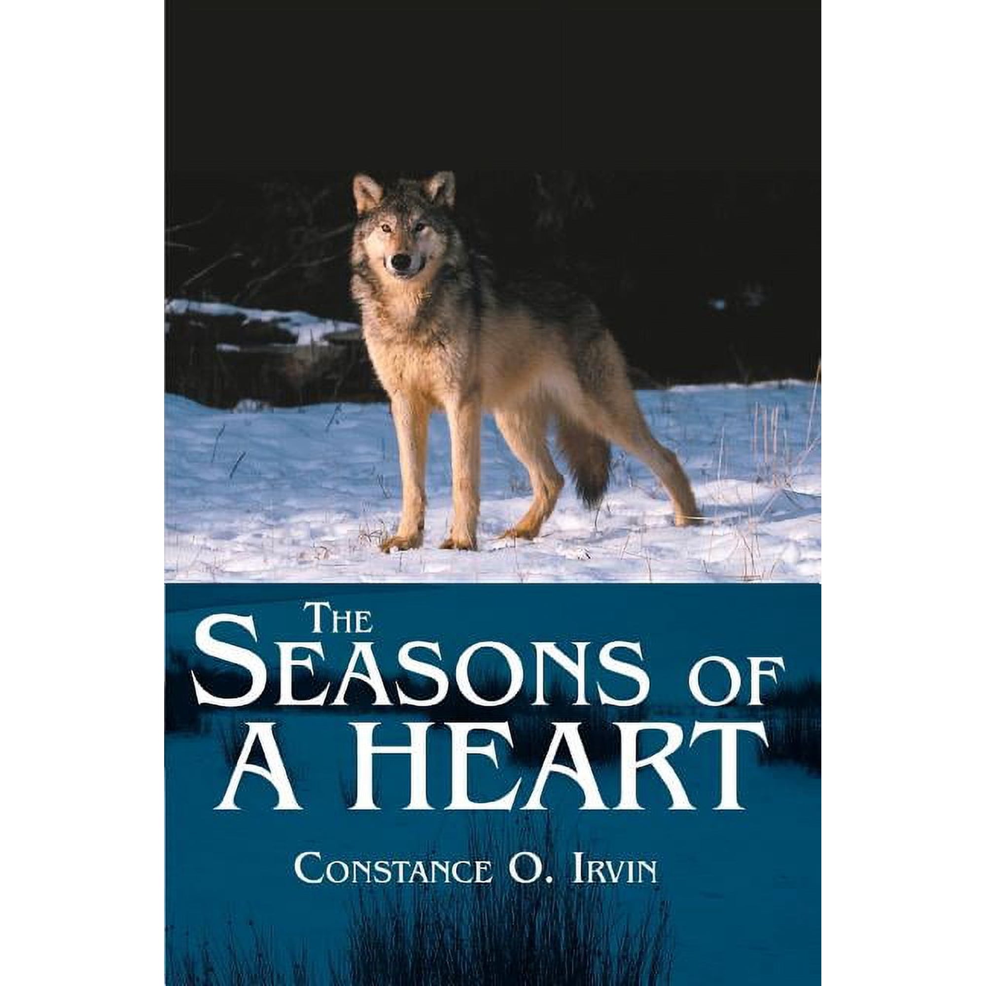 The Seasons of a Heart (Paperback)