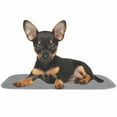 thumbnail image 6 of rocket & rex Premium Washable Pet Carrier Pads, Reusable, Waterproof & Absorbent, Dog and Cat Pads for Lining Travel Carriers, Litter Boxes, Pet Crates & More, 17.5" x 11" (Pack of 2), 6 of 6