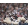 Tony Rice Autographed Notre Dame Players Pointing 16" x 20" Photograph