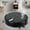 Black, variant on LHNFT Sweeping Robot Vacuum - 5-in-1 Household Cleaning Machine, which can be Charged via USB, and at The Same time sweeps, Suction, mop and Spray humidify 5-in-1 All-in-one Machine