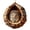 Brown hedgehog, variant on Woodland Animal Shell Ornaments 2026, Hedgehog Peeking Christmas Ornament, 3D Resin Hanging Decorations for Xmas Tree, Country Christmas Decor and Nature-Inspired Gift