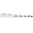 thumbnail image 1 of Elefante 3D espejo etiqueta de la pared DIY acrílico Animal espejo calcomanías extraíble decoración del hogar papel tapiz 7 piezas tholdsy  JJ11046-02, 1 of 4