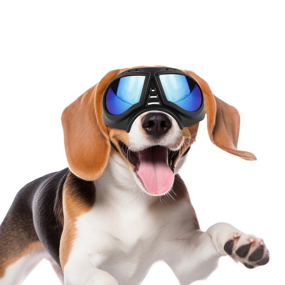 Gafas para Perro PETLESO para Razas Medianas con Lentes Azules