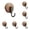 A*5, variant on Vintage Suction Cup Hooks, Loetky Removable Shower Hooks For Bathroom Window Glass Mirror Tile, Towel Hooks Bath Robe Looafh Hook, A Hook