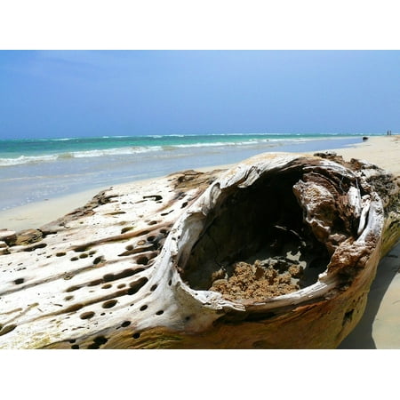 Exotic Wood Plugs Canvas Print Republic Holiday Dominican Exotic Beach Wood Hot Stretched Canvas 10 x 14 ()