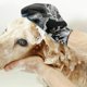 thumbnail image 4 of Guante de aseo para mascotas Guante para el pelo de perros para animales, caballos, masajes de conejos, ducha, cepillo de baño, peine de goma, guantes antipulgas para el pelo de mascotas ( esquí esquí Gafas de esquí, 4 of 5