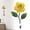 Yellow, variant on Creative Resin Wall Hooks Hand Painted Art Flower Mounted Hook For Coat Hat Key Towel Hanger(Double Hook)