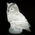 thumbnail image 6 of Neorosiri 3D Owl LED Night Light,4.2x3.1x4.8 Inches Battery Powered Bedside Lamp for Bedroom,Decorative Ambient Lighting,White PVC, 6 of 9