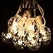 thumbnail image 3 of Hometown Evolution, Inc. 50 Foot G40 Globe Patio String Lights with Clear Bulbs (White Wire), 3 of 4