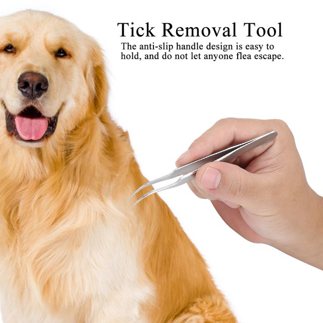 Tick Acero Inoxidable Mascota Gato Garrapata Eliminación Tenedor Pinzas Clip Removedor Herramienta De Aseo Accesorios