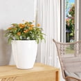 thumbnail image 3 of Plant Pots Set of 2 Pack,10 Inch Plant Pot for Indoor,Planter with Drainage Hole,Flower Pots Modern Round Planters for Outdoor Garden Home,White, 3 of 7