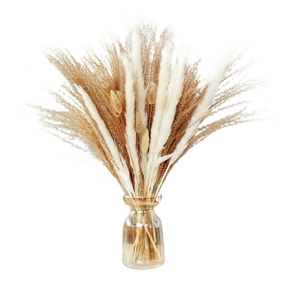 36 Pieces Dried Pampas Grass, White Pampas Grass, Dry Flowers Dried Eucalyptus Pampas Grass Decor, Tall Dried Flower Bouquet Pampas - 15.75In