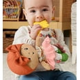 thumbnail image 3 of Fisher Price Cuddle & Chime First Babydoll Plush Doll (Butterfly), 3 of 3