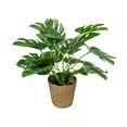 thumbnail image 2 of Plantas En Macetas De Plástico 1 unidad de planta artificial multicolor en maceta con césped sintético,hojas de tortuga y lirios del valle para decoración de interiores (multicolor) Rkxzt, 2 of 9