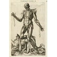 thumbnail image 2 of Versalius, Andreas 11x14 White Modern Wood Framed Museum Art Print Titled - Male figure with muscles and skeleton, 2 of 4