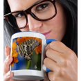 thumbnail image 2 of 3drose, Large Striped Swordtail Butterfly on Orange Orchid - Us48 Dgu0366 - Darrell Gulin, 11oz Two-tone Blue Mug, 2 of 6