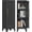 1 Door-46"H-Black, variant on 46" Tall Metal Pantry Cabinet, Kitchen Pantry Storage Cabinets with 1 Door and 2 Adjustable Shelves, Small Bathroom Cabinet,Cupboard for Kitchen, Dining Room- Assembly Required/White