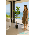 thumbnail image 2 of 135cm Realistic Artificial Fiddle Tree – 56 Leaves – Tropical Floor Plant with Premium Pot and ultra Natural Touch – Home, Office, Hotel, or Commercial Décor, 2 of 3